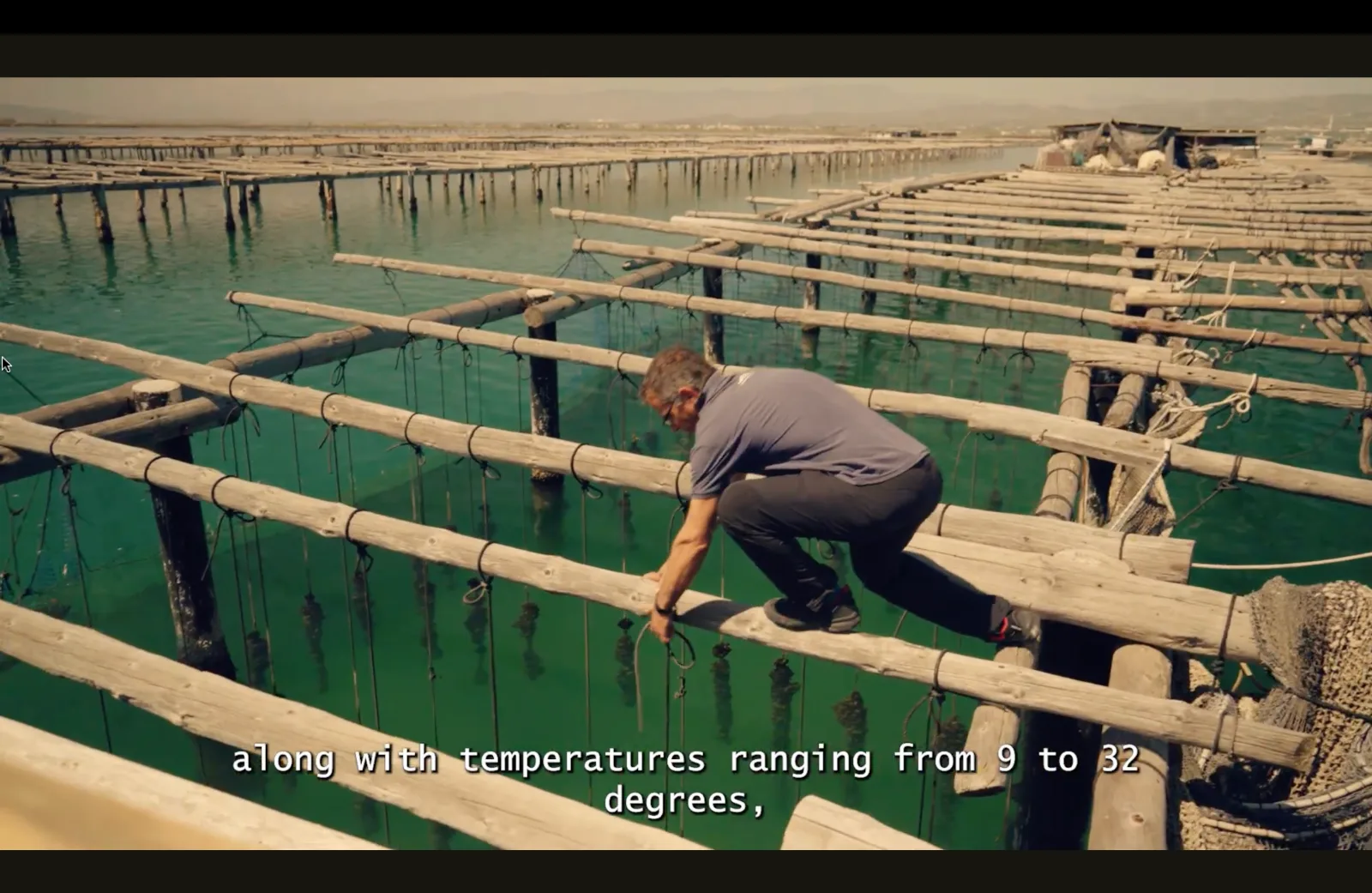Inside the ebro Delta 2