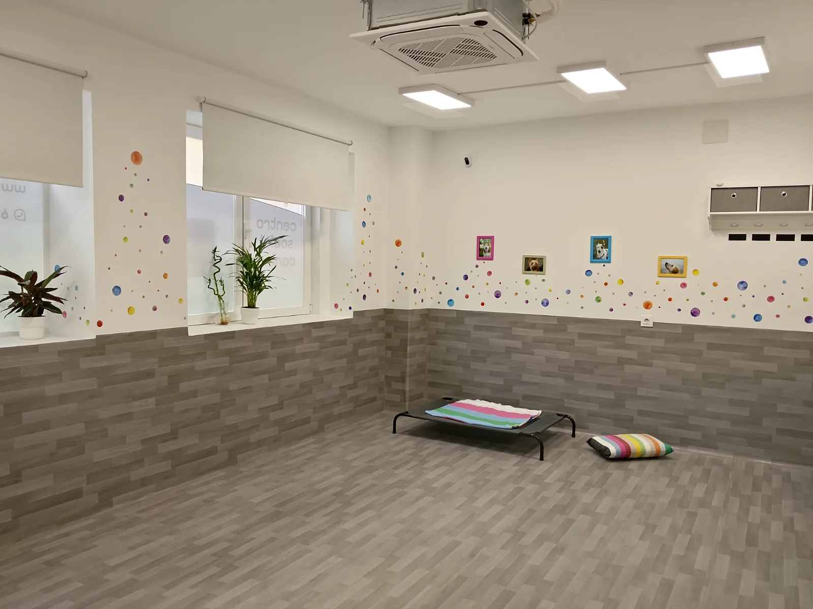 sala guardería Animel